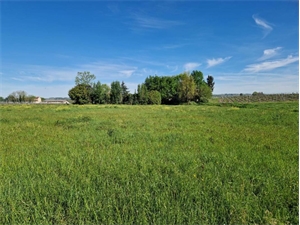 terrain à la vente -   33210  SAINT PIERRE DE MONS, surface 1388 m2 vente terrain - UBI477412454
